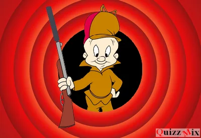 Quiz Les Looney Tunes